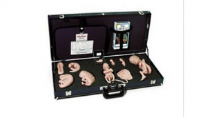 WA15715U 胚胎發(fā)育示教教程(模型、音像帶)-胚胎發(fā)育-WA15715U -上海亨隆科教設(shè)備